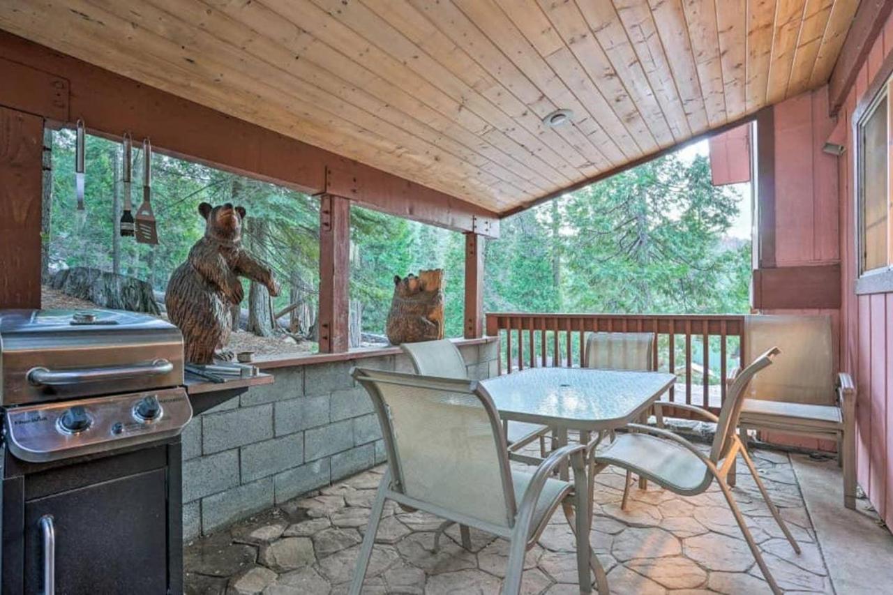Cozy Bear South-inside Yosemite National Park